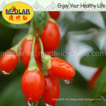 Mispel Wolfberry Extract Gesunde Ernährung Goji Beeren